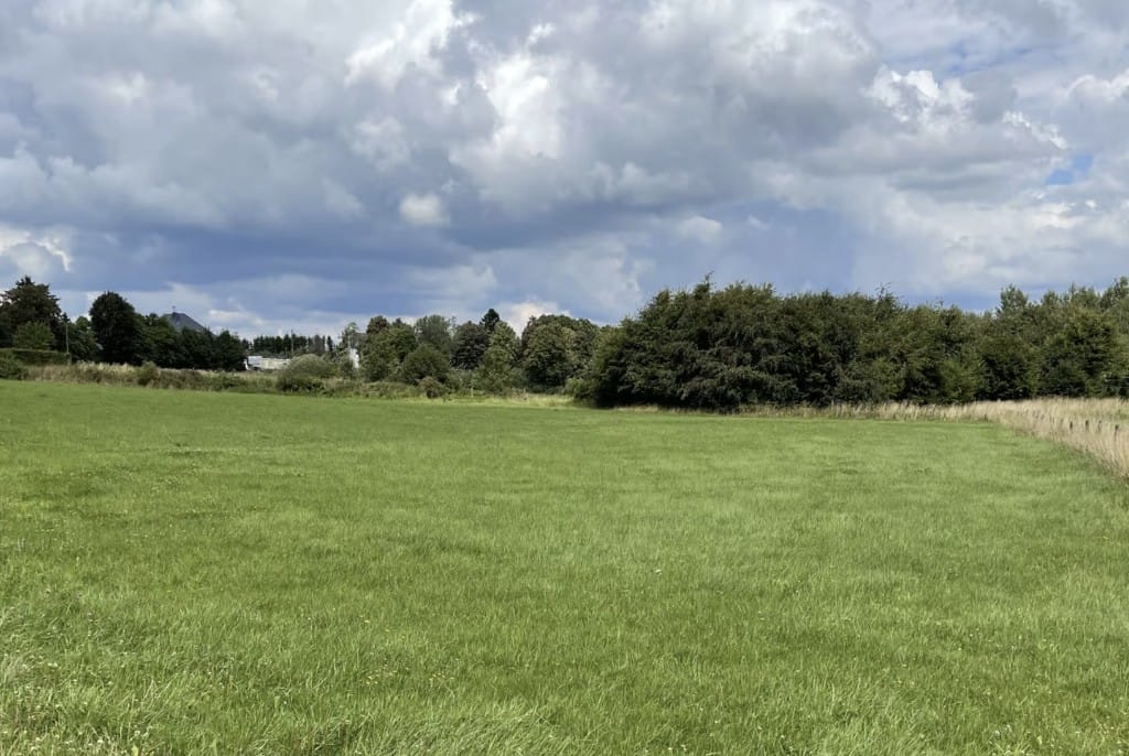 Foto 5 van Allmuthen Los 3