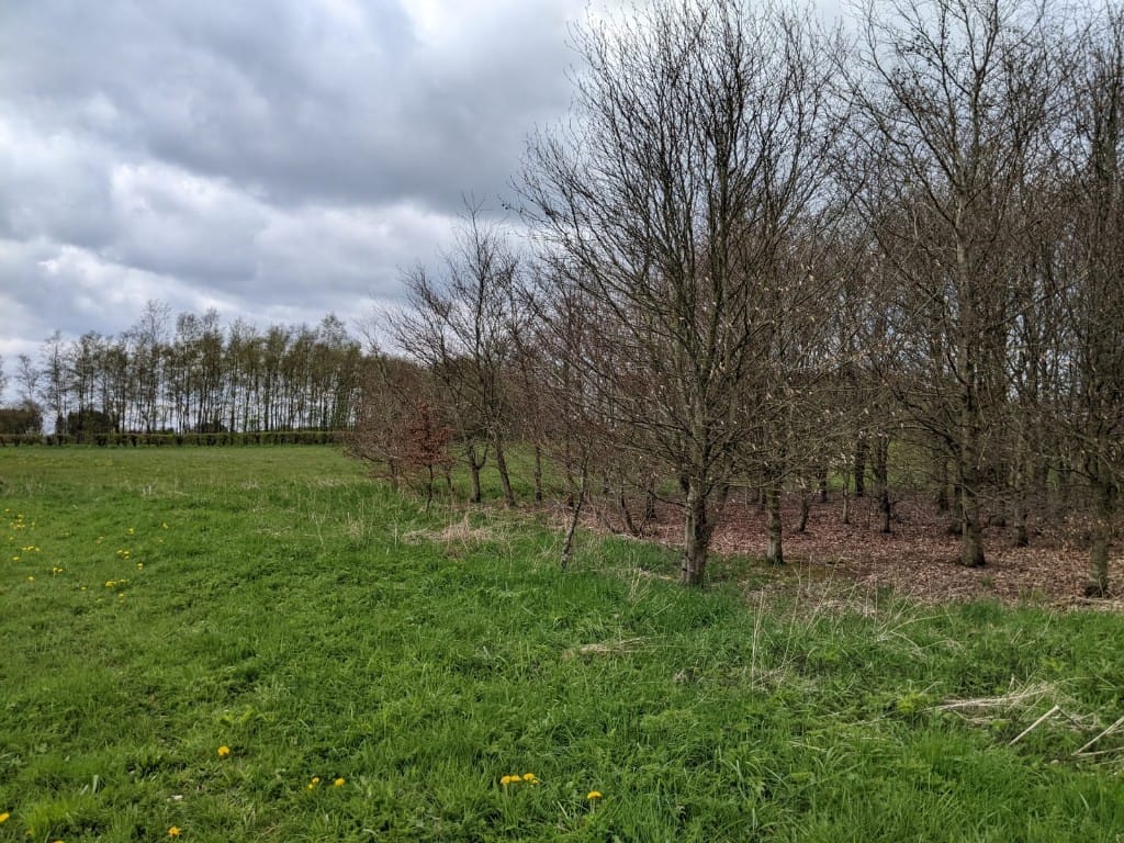 Foto 6 van Allmuthen Los 3