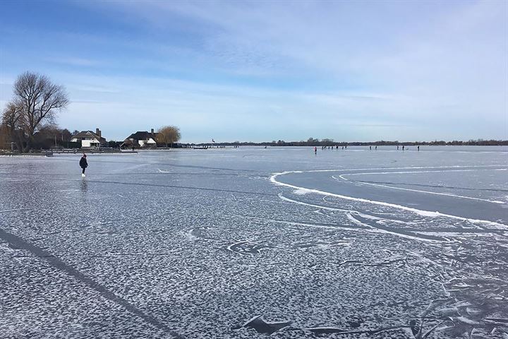 Bekijk foto 28 van Nieuw-Loosdrechtsedijk 270-AWS04