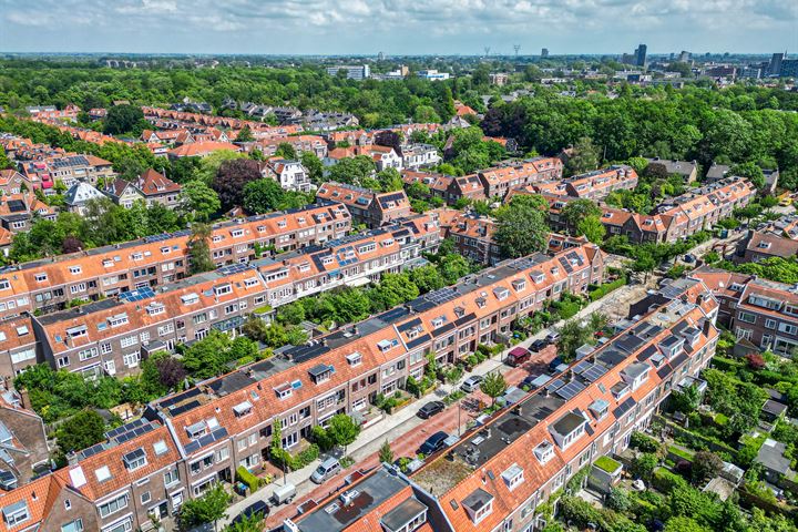 Bekijk foto 38 van Roodborststraat 41