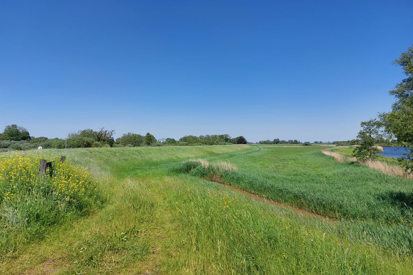 Bekijk foto 2 van Cellemuiden