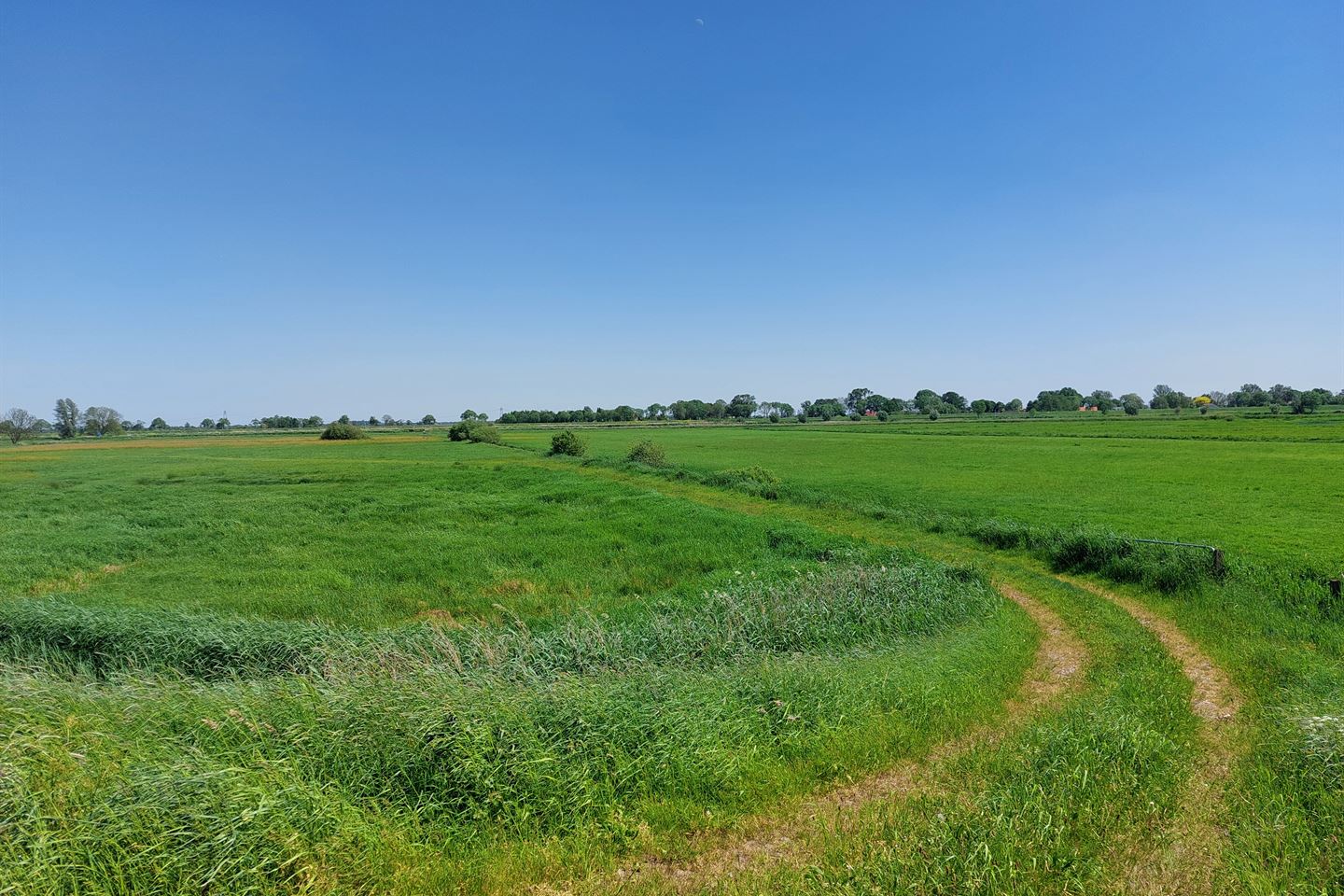 Bekijk foto 3 van Cellemuiden