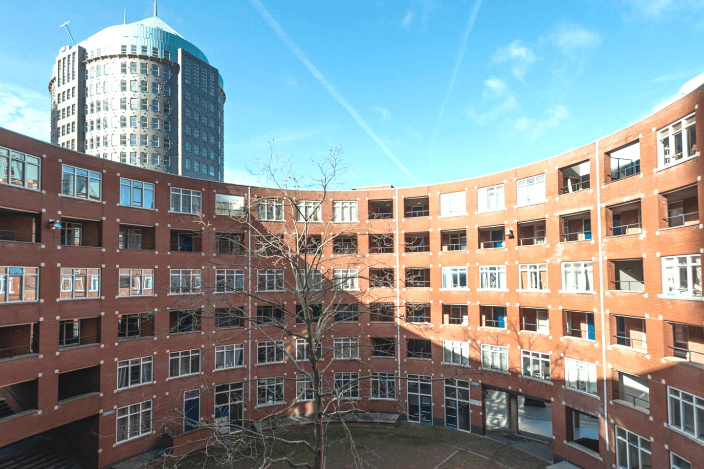 Clioplein 31