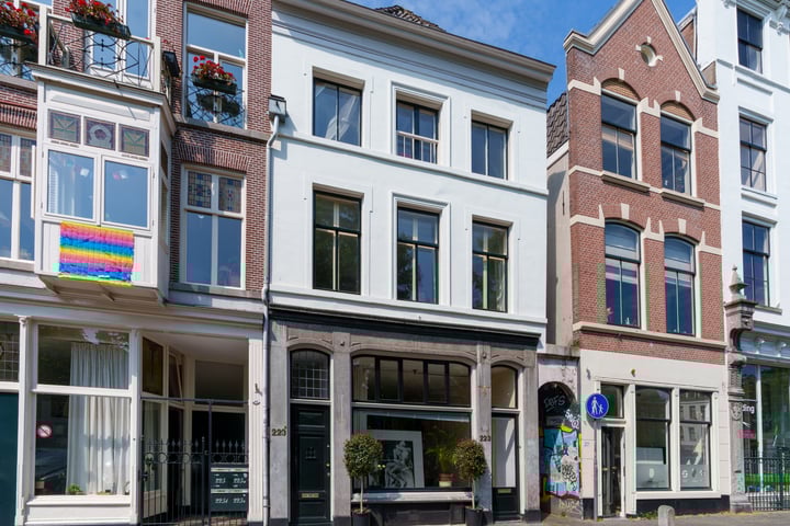 Oudegracht 223