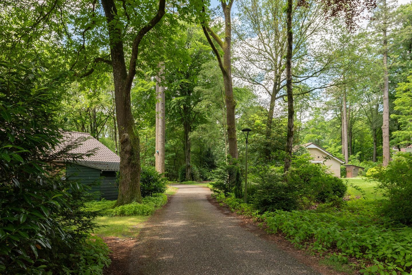 Foto 40 van Oud Milligenseweg 62-H17