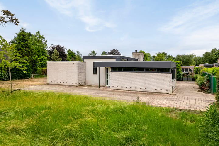 Foto 45 van Lammergors 4