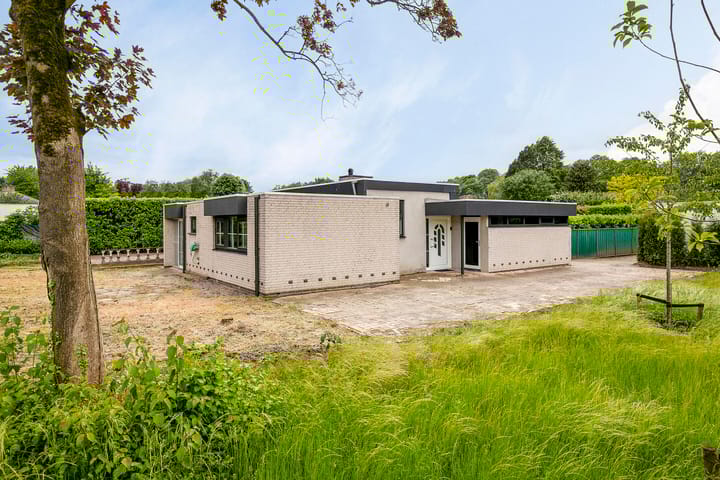 Foto 55 van Lammergors 4