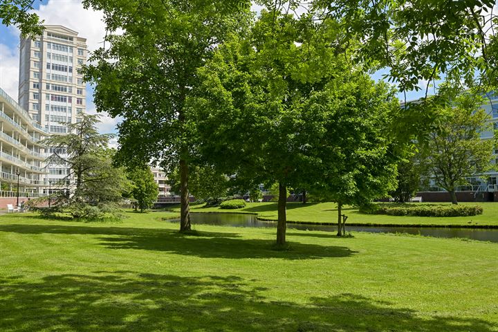 Bekijk foto 5 van Burgemeester De Monchyplein 302