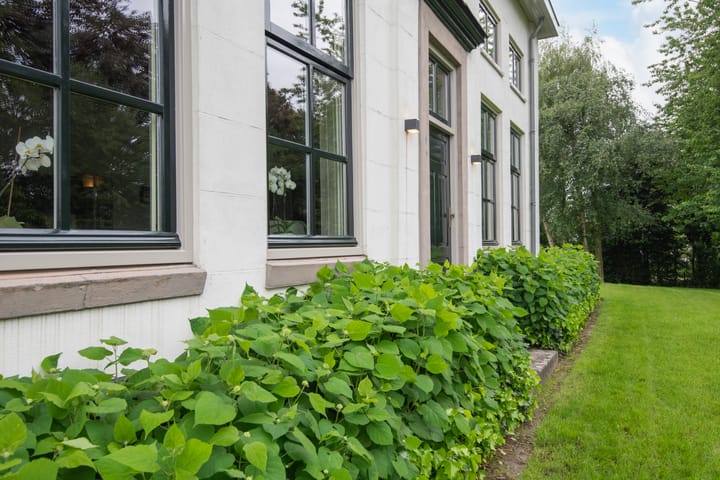 Foto 3 van Steenweg 2