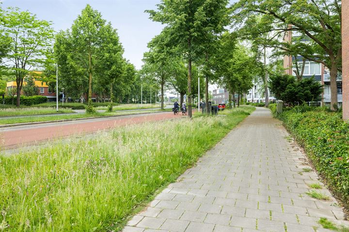 Bekijk foto 25 van Koningin Julianastraat 268