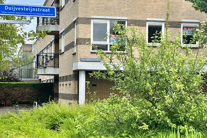 Bekijk foto 3 van Duijvesteijnstraat 7