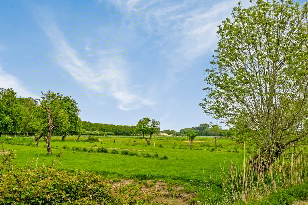 Foto 2 van Koningin Emmaweg 30