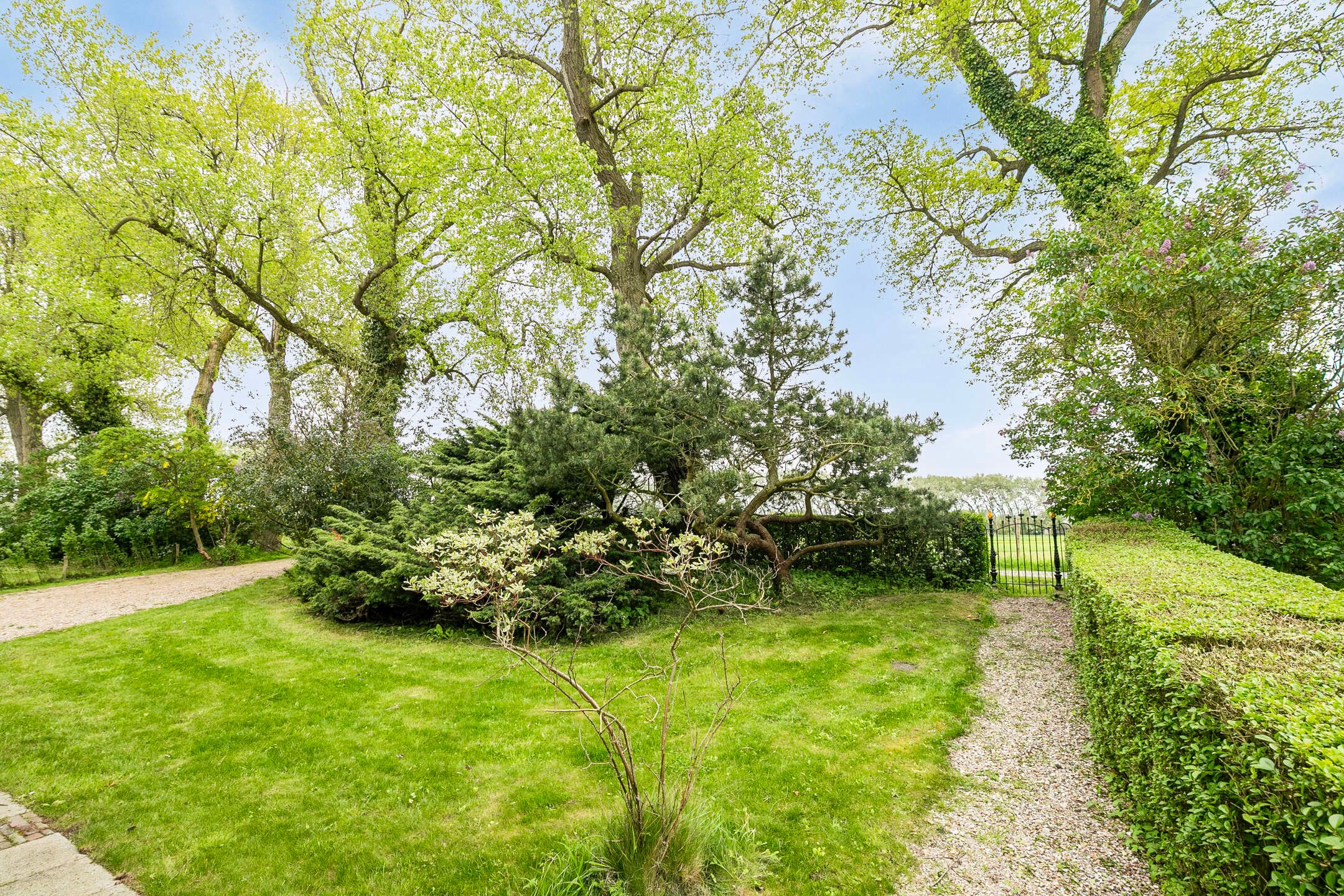 Foto 45 van Koningin Emmaweg 30