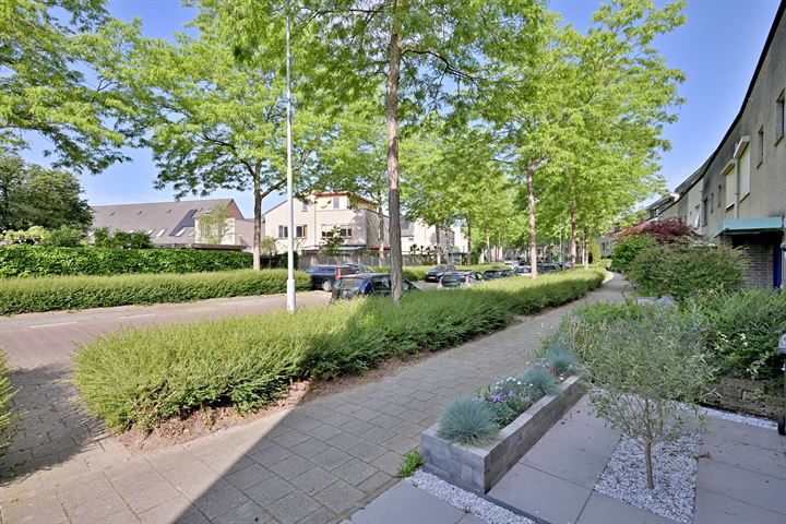 Bekijk foto 47 van Ien Dalessingel 231