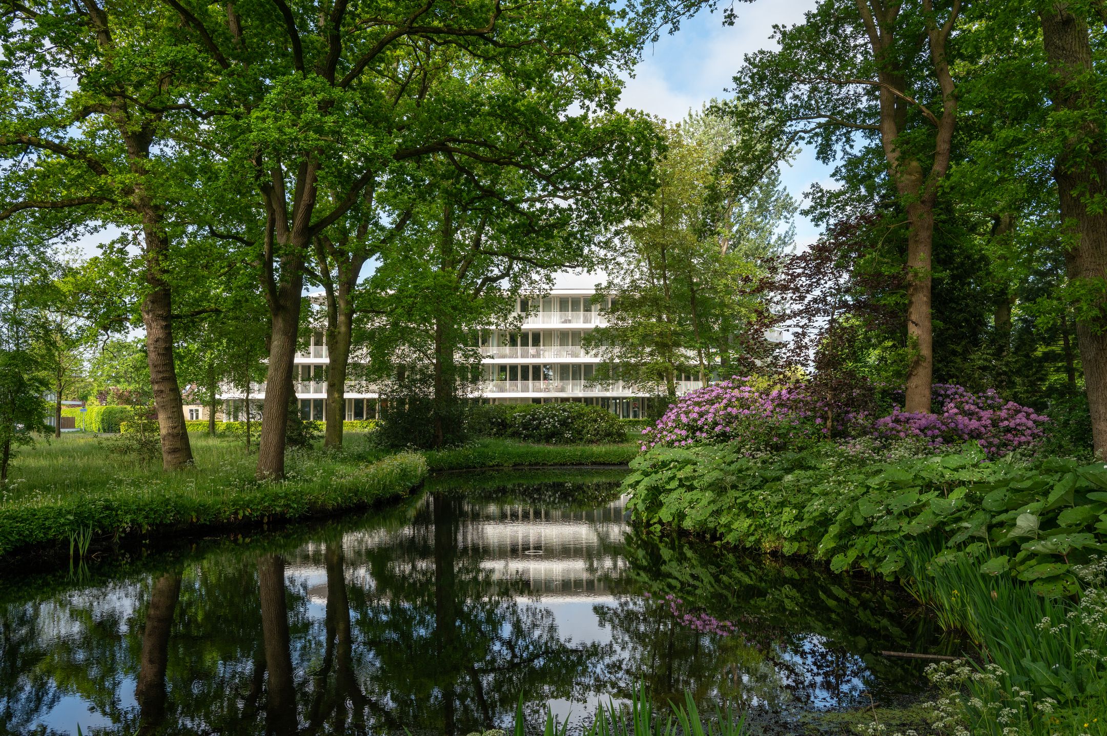 Photo 3 of Ter Huivra 46