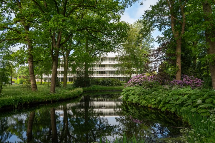 Foto 3 van Ter Huivra 46