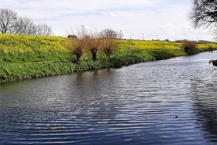 Bekijk foto 5 van Baarsveen 476