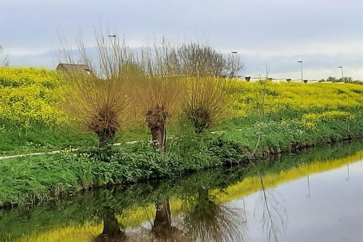 Bekijk foto 32 van Baarsveen 476