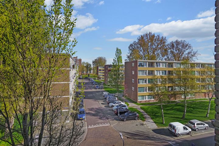 Bekijk foto 19 van Linnaeusstraat 232