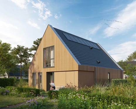 Willem Alexanderhof: fase 5 Oost, Maximahoek en het Oor main image