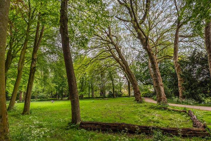 Bekijk foto 50 van Kromme Zandweg 1