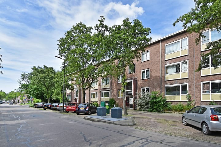 Foto 22 van Steenlaan 132