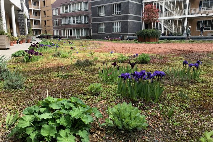 Bekijk foto 39 van Oranje-Vrijstaatkade 47