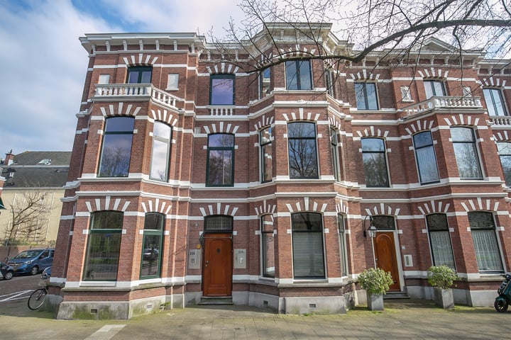 Bezuidenhoutseweg 229