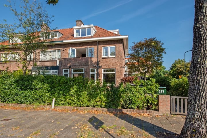 Bekijk foto van Parkweg 287