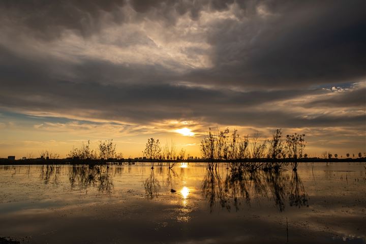 Bekijk foto 44 van Wilgenkade 7