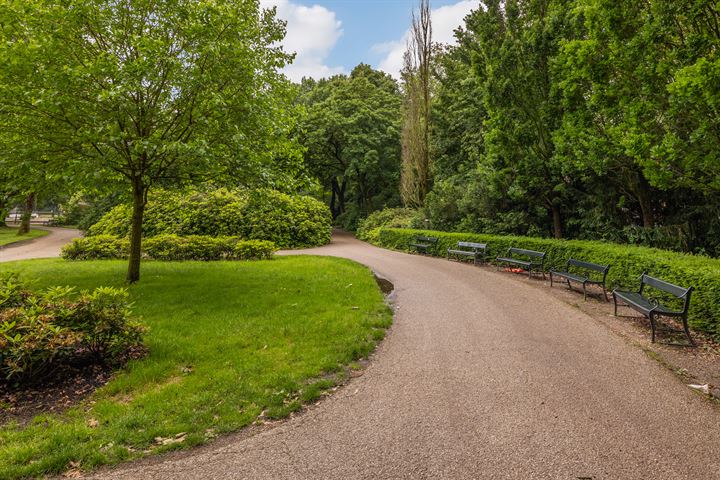 Bekijk foto 35 van Hermannus Elconiusstraat 45