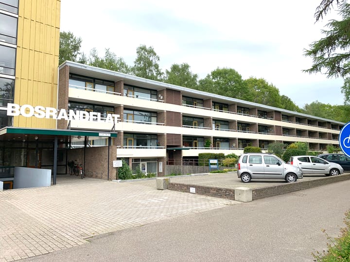 Landschaplaan 155