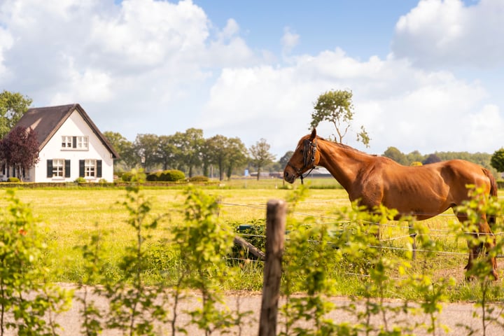 Bekijk foto 42 van Diederikweg 4