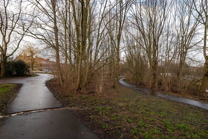 Bekijk foto 41 van Zestienhovensekade 248