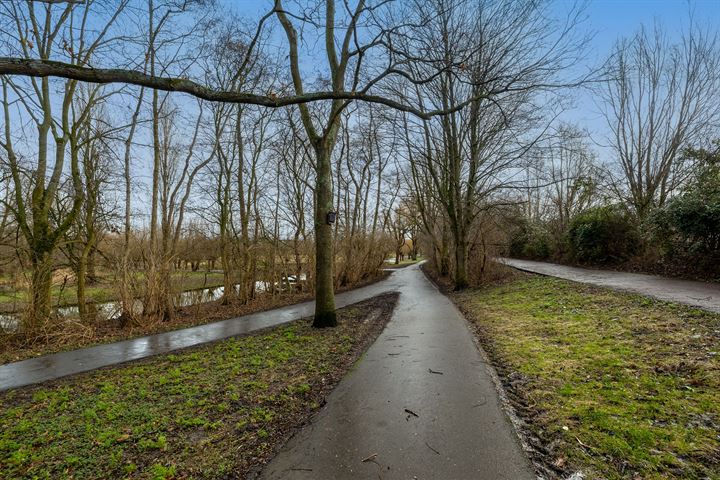 Bekijk foto 44 van Zestienhovensekade 248