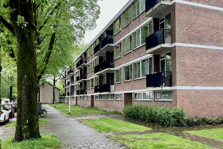 Bekijk foto 1 van Muiderslotstraat 17