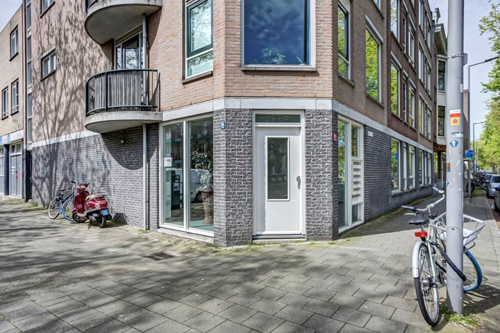 Bekijk foto 30 van Noordsingel 56-G