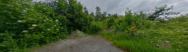 Bekijk 360° foto van Oprit van Boerweg 3-B