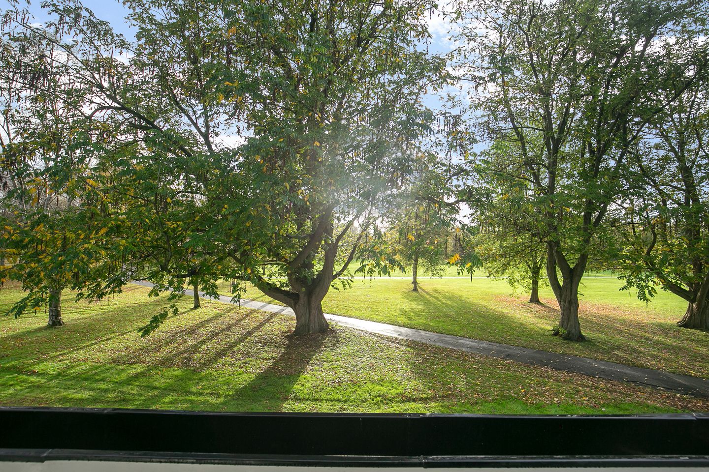 Foto 25 van Schutselaan 2