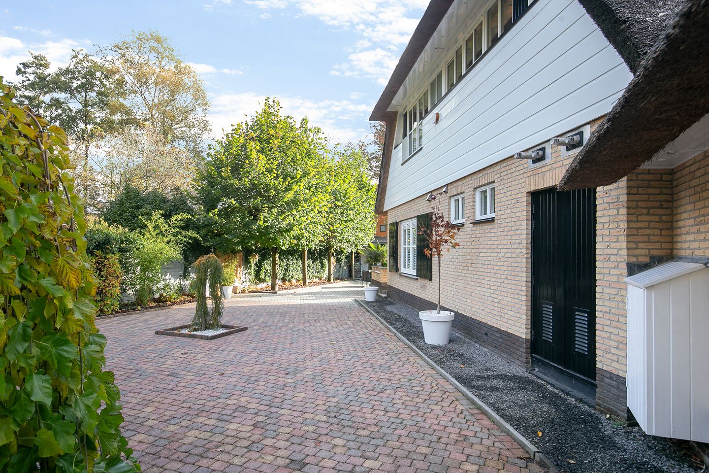 Foto 44 van Schutselaan 2