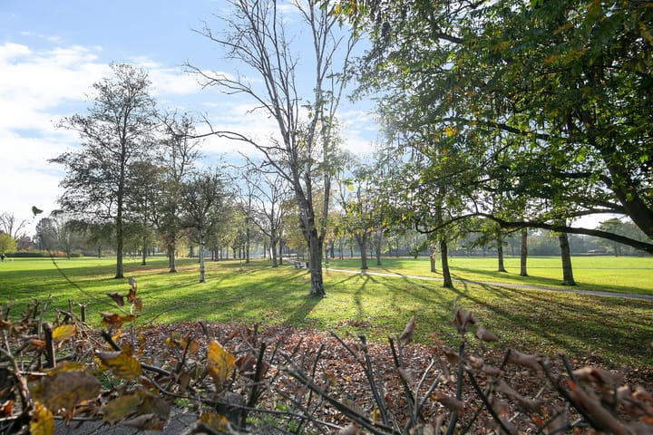 Foto 48 van Schutselaan 2