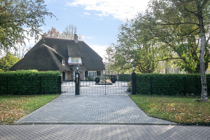 Foto 49 van Schutselaan 2