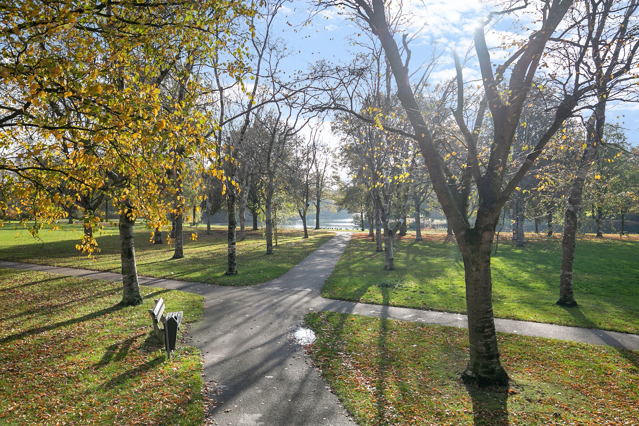 Foto 54 van Schutselaan 2