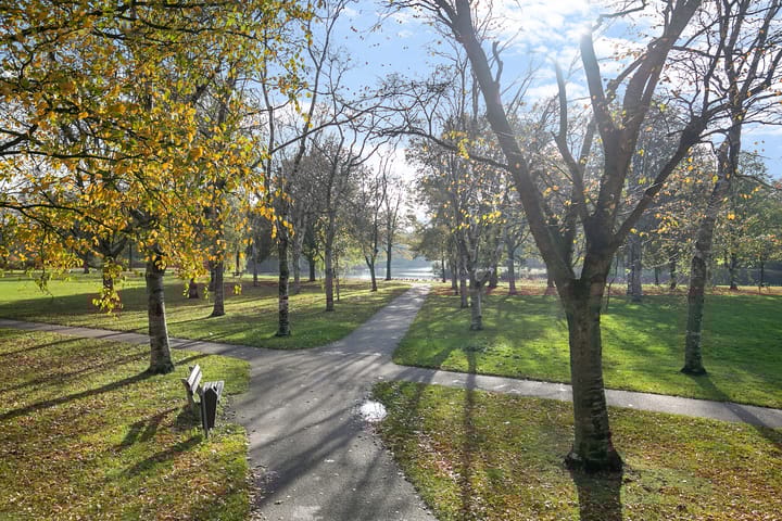 Foto 54 van Schutselaan 2