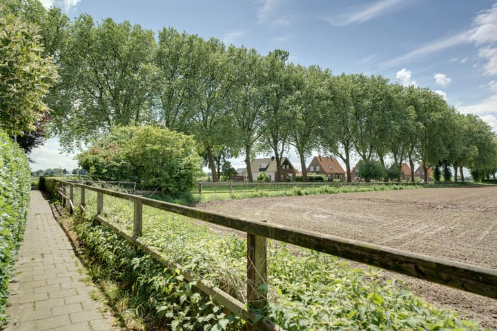 Foto 48 van Hekkeslag 2