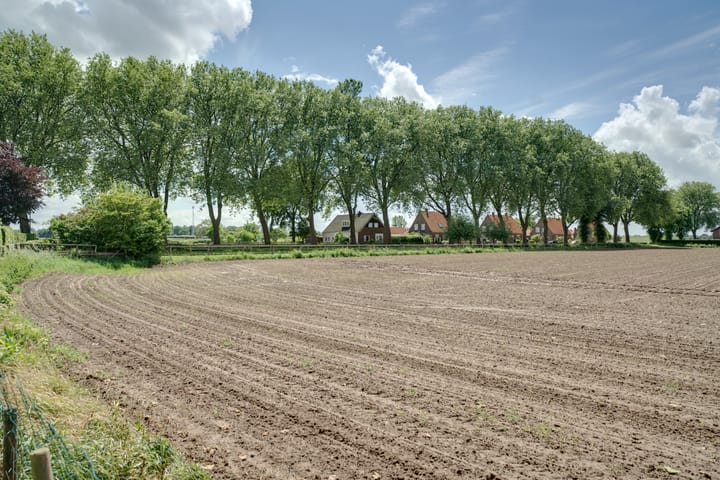 Foto 50 van Hekkeslag 2