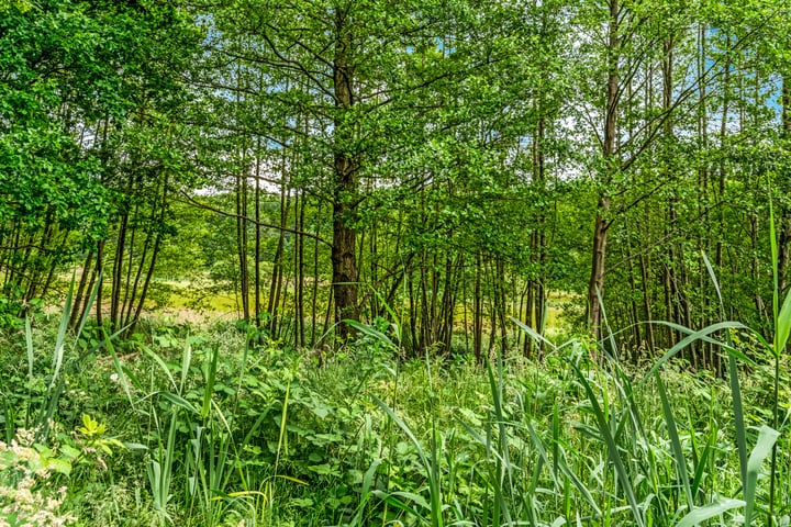 Bekijk foto 34 van Hartenseweg 5