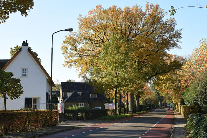 Bekijk foto 38 van Nieuw-Loosdrechtsedijk 87