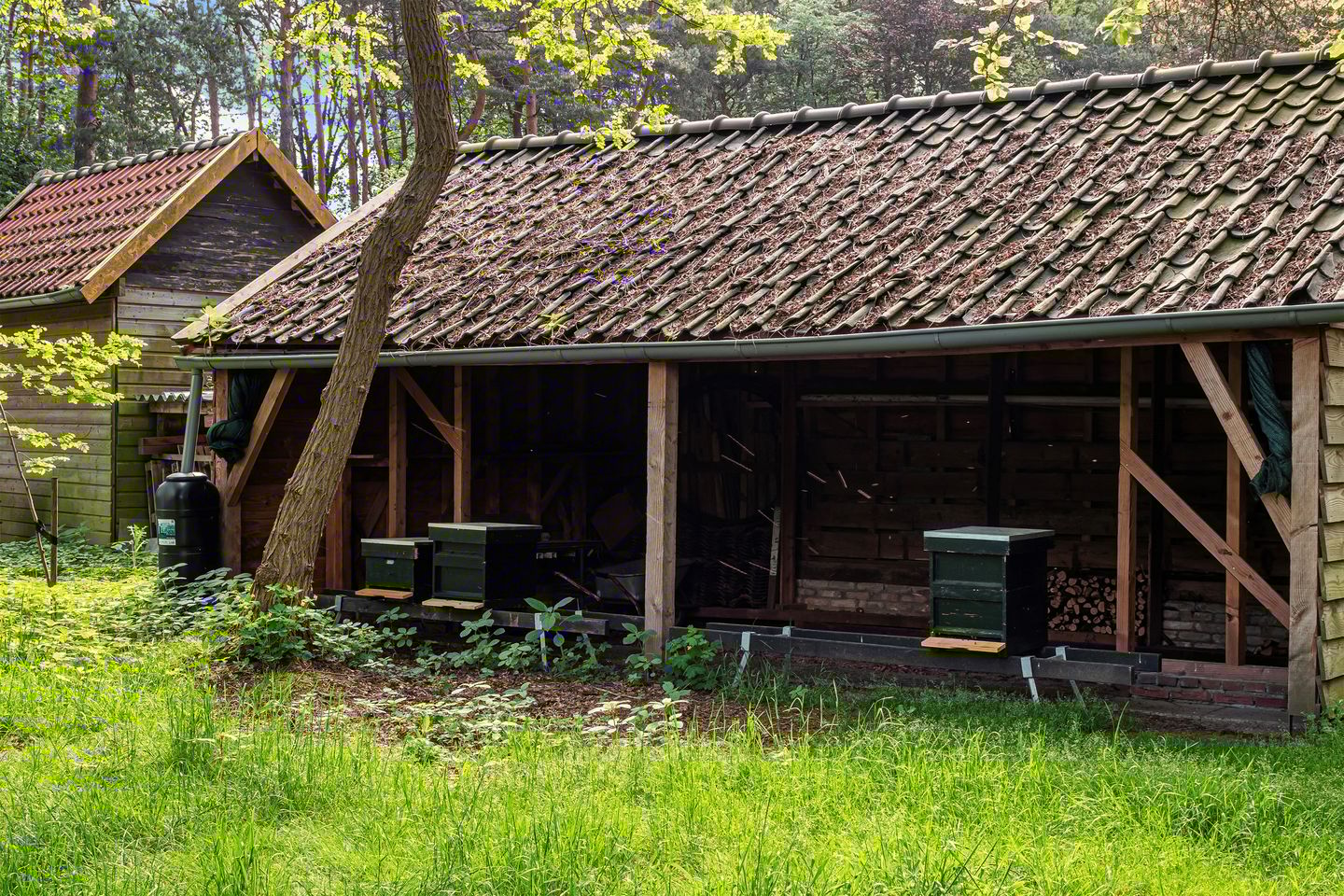 Foto 4 van Kapelweg 1-A