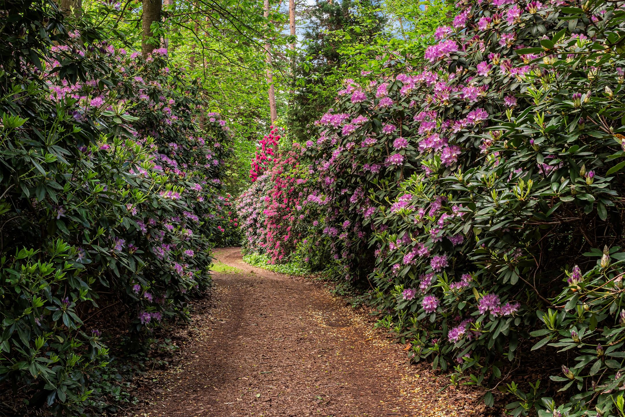 Foto 33 van Kapelweg 1-A